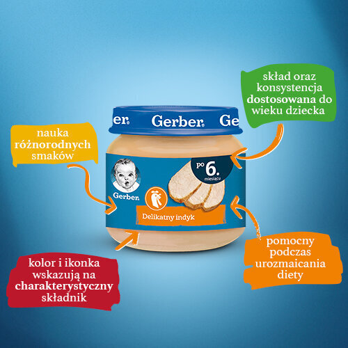 Gerber Delicate Turkey for Babies after Month 6 80g