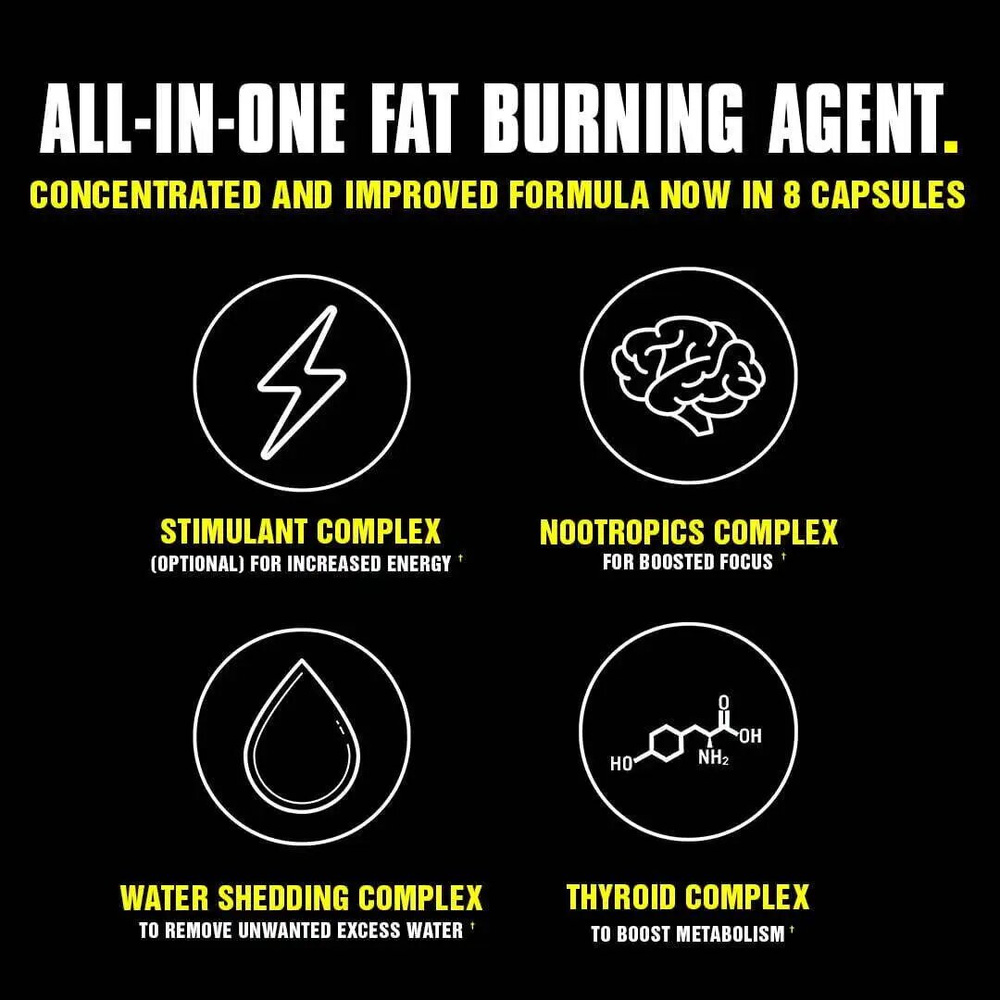 Animal Cuts Packs 42 Packs