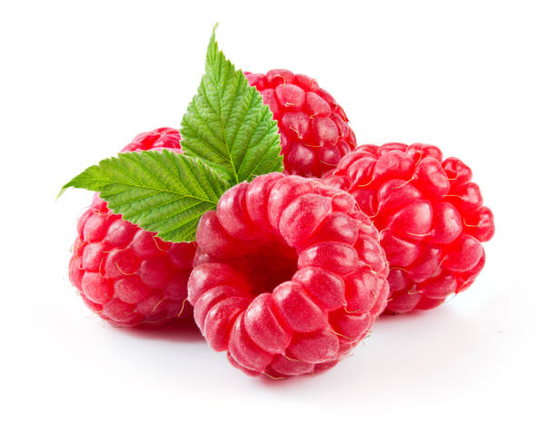 Herbapol Fruit and Herb Tea with Raspberries 30x3g Best Before 28.02.26