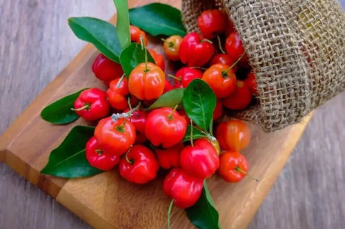 EkaMedica Efime Acerola Forte na Wsparcie Odporności 60 Kapsułek