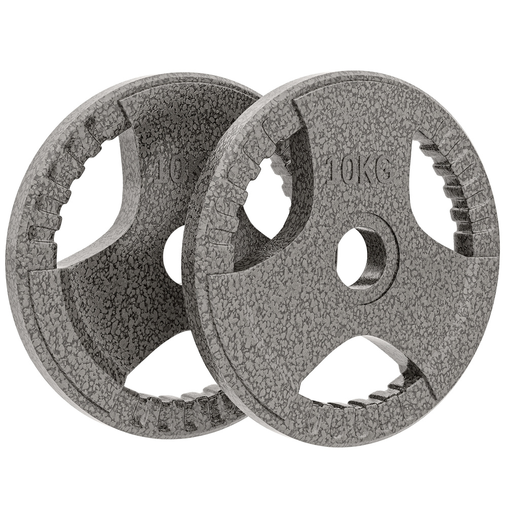 HOMCOM Set of 2 Cast Iron Weight Plates for 2 inch/5cm Hole Dumbbell Handle Bar, 20kg Dumbbell Plates Barbell Weight 2 x 10kg