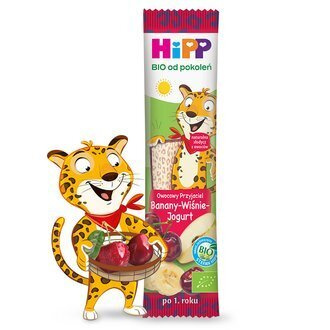 Hipp Bio Fruit Friend Bar with Bananas, Cherries and Yoghurt for Children 1+ 23g