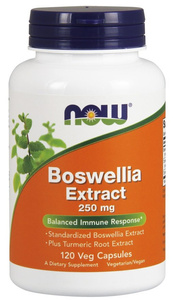 Boswellia Extract Plus Turmeric Root Extract, 250mg - 120 vcaps