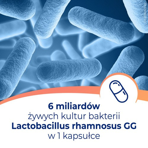 Dicoflor 6 Probiotyk dla Wsparcia Mikroflory Jelitowej 20 Kapsułek