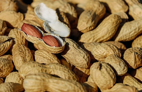 Młyn Kopytowa Salted Peanuts 500g