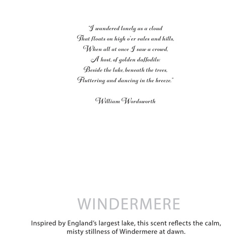 Agnes + Cat Botanical Soy Wax Candle - Windermere