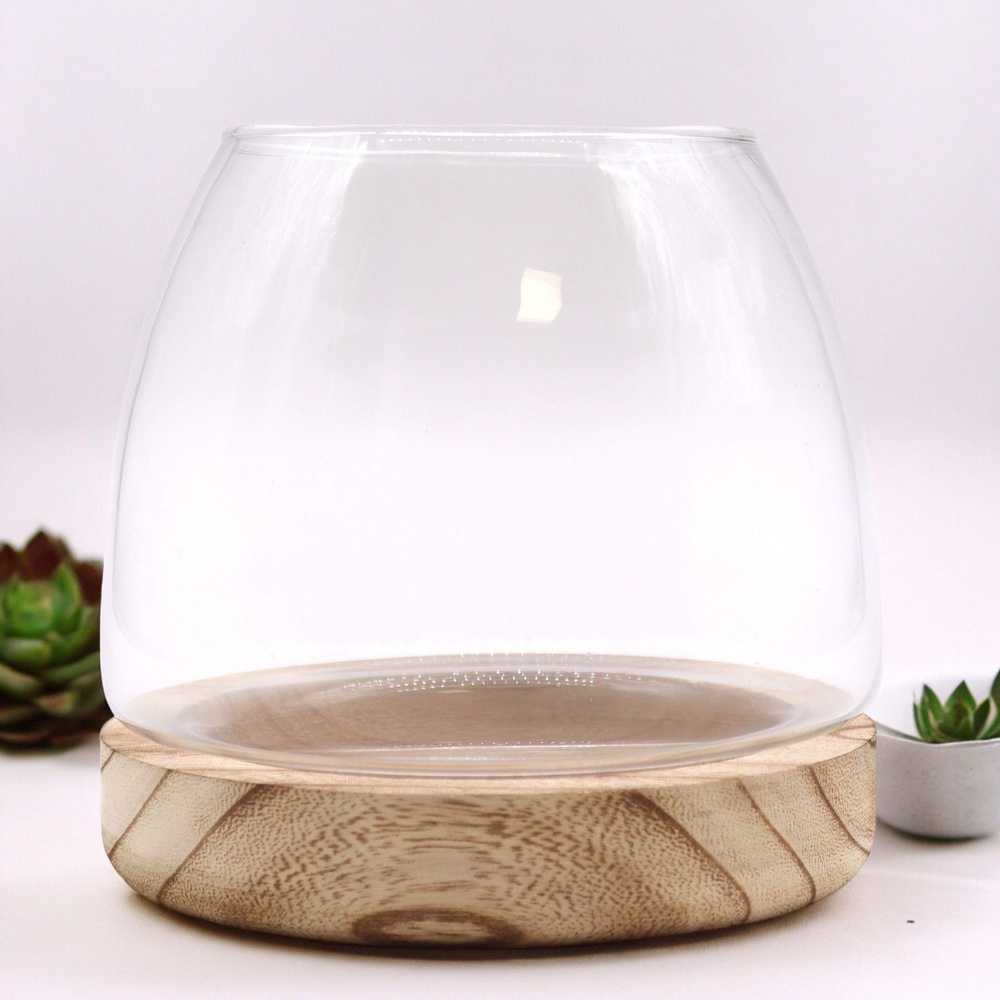 Medium Terrarium on Natural Tung Wood