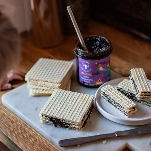 Pasieki Sadowskich Miodziś Miód z Orzechami i Kakao dla Dzieci 410g